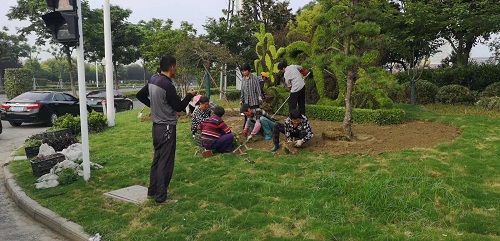 绿化施工3